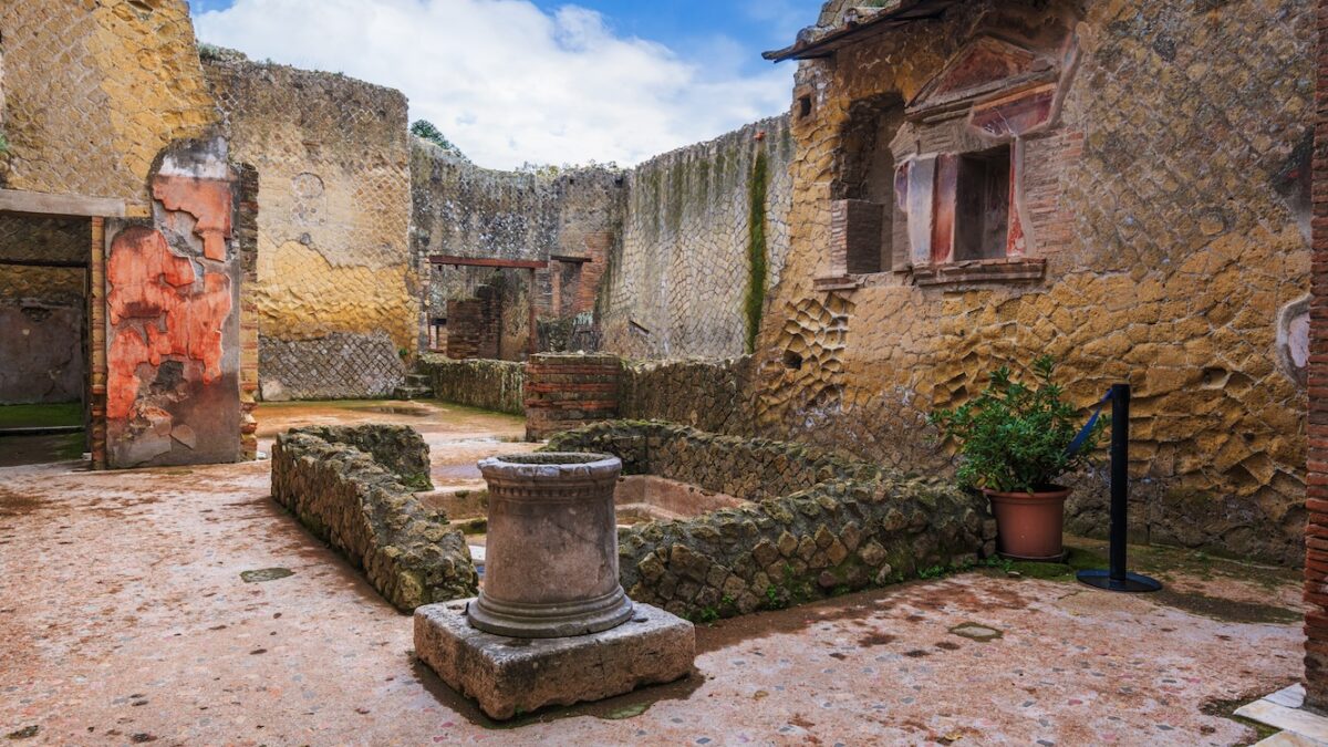 Private Tour from Naples to Herculaneum