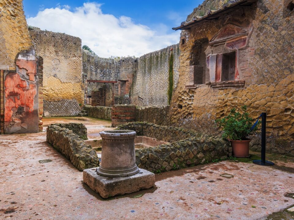 Private Tour from Naples to Herculaneum
